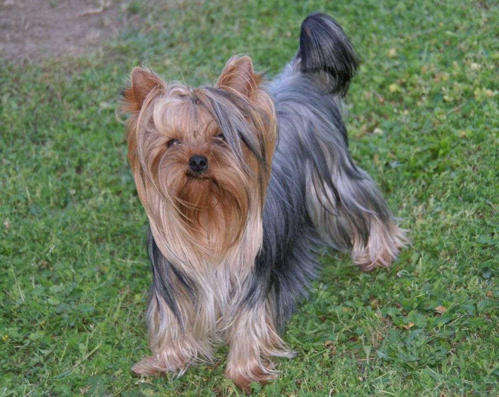 Sarah lou de la villa du sieur paoli