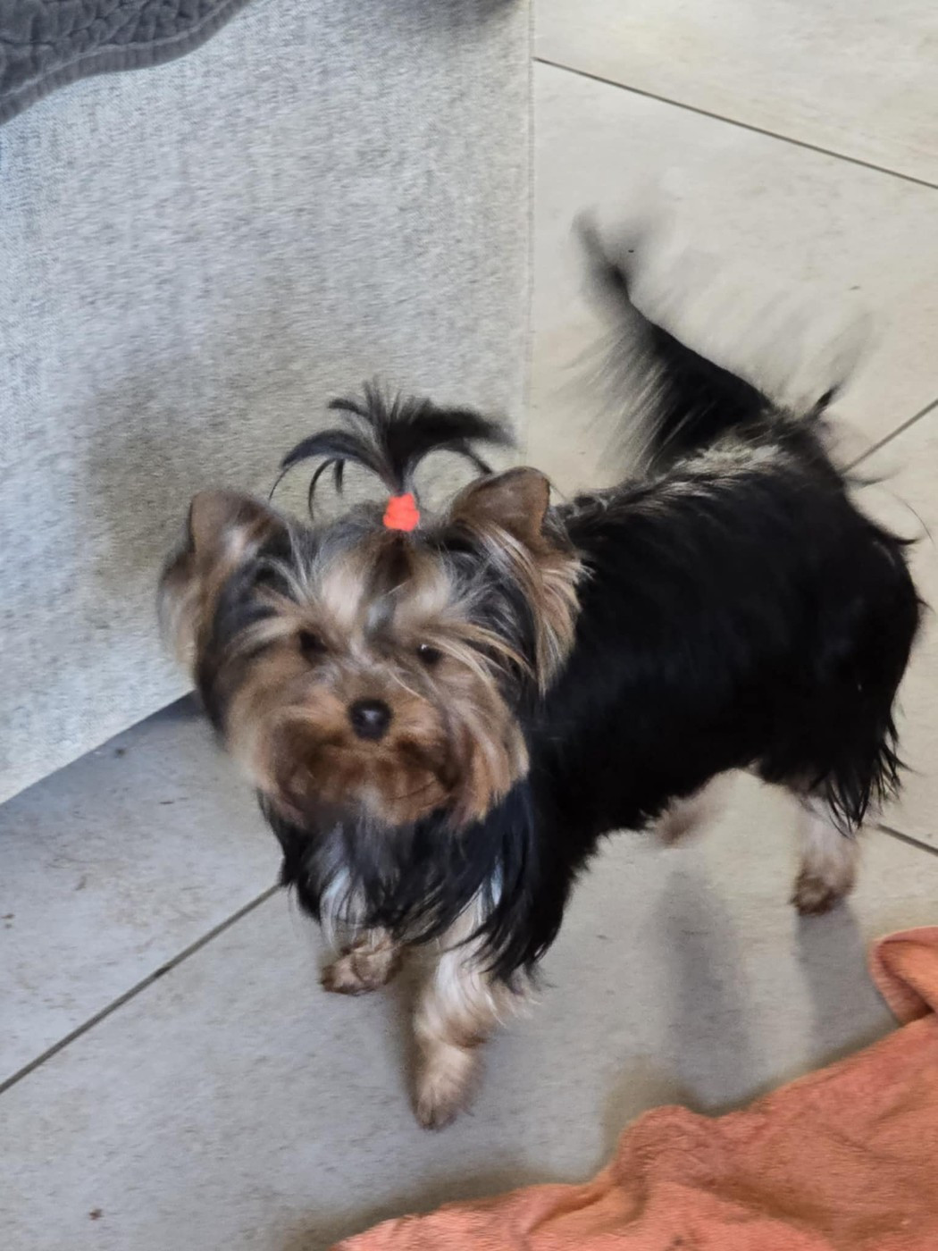 ANNABEL MAYA my sensation