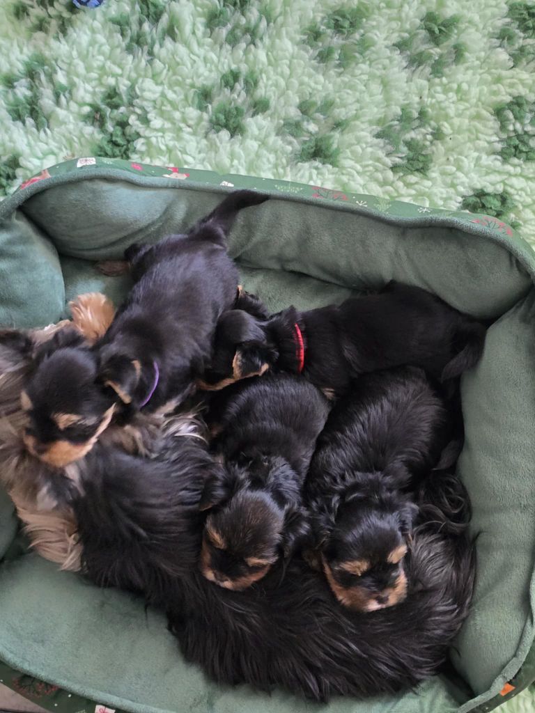 De nouveaux bébés sont arrivés...